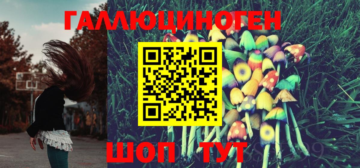 Кудрово  Псилоцибиновые грибы мухоморы  Галлюциногенные грибы прущие грибы  Вход с VPN 